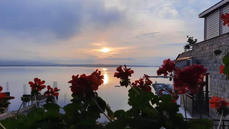 Orion Guest House Sozopol Exteriér fotografie